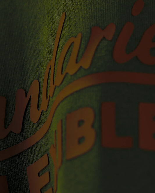 Olive T-shirt with Boundaries? Flexible text, angled close-up detail view