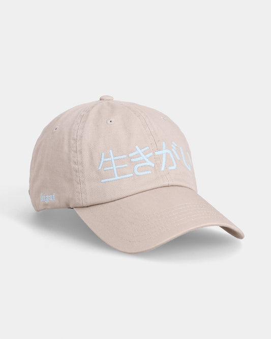 Ikigai Kanji Dad Cap