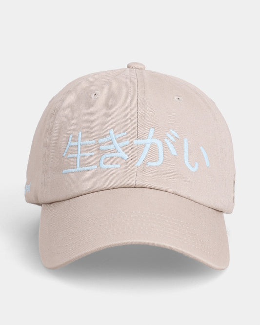Ikigai Kanji Dad Cap