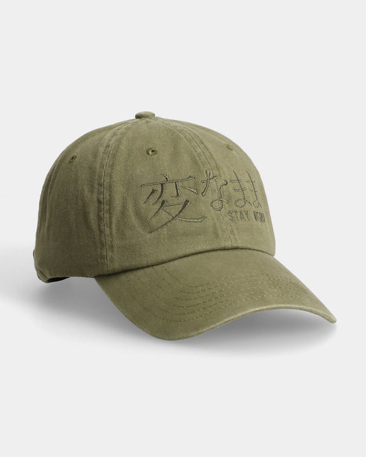 Stay Weird Dad Cap