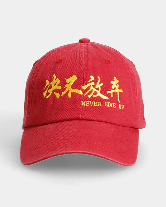 Never Give Up Dad Cap