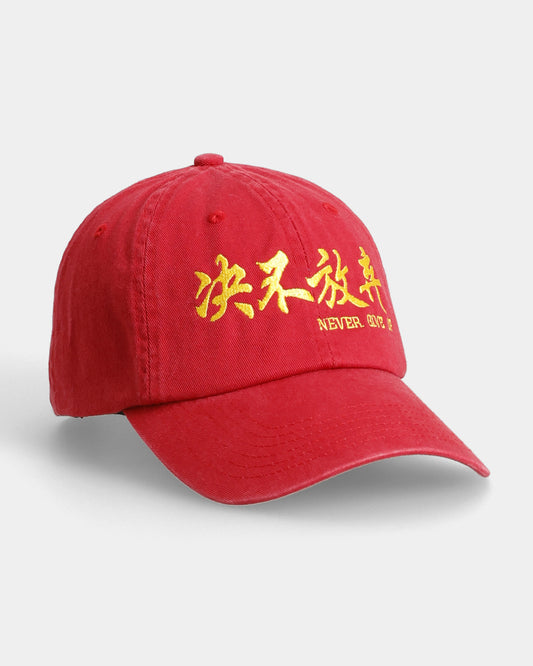 Never Give Up Dad Cap