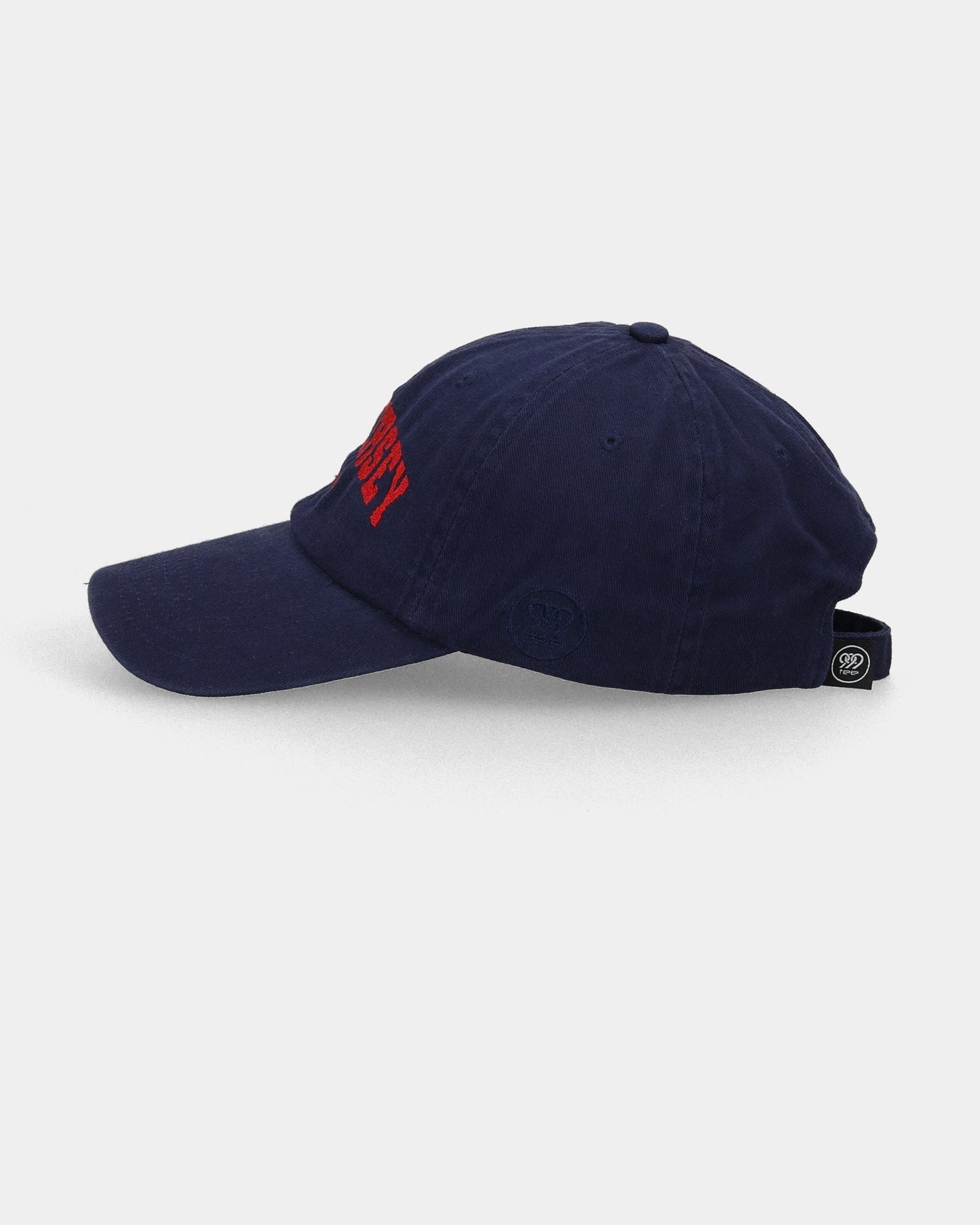 NEW JERSEY DAD CAP