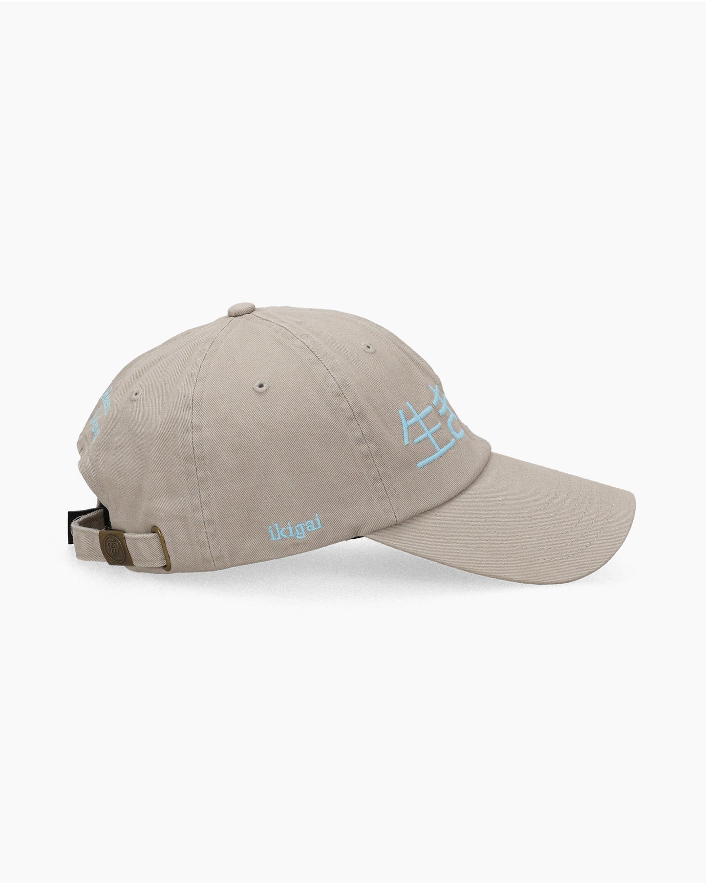 Ikigai Kanji Dad Cap