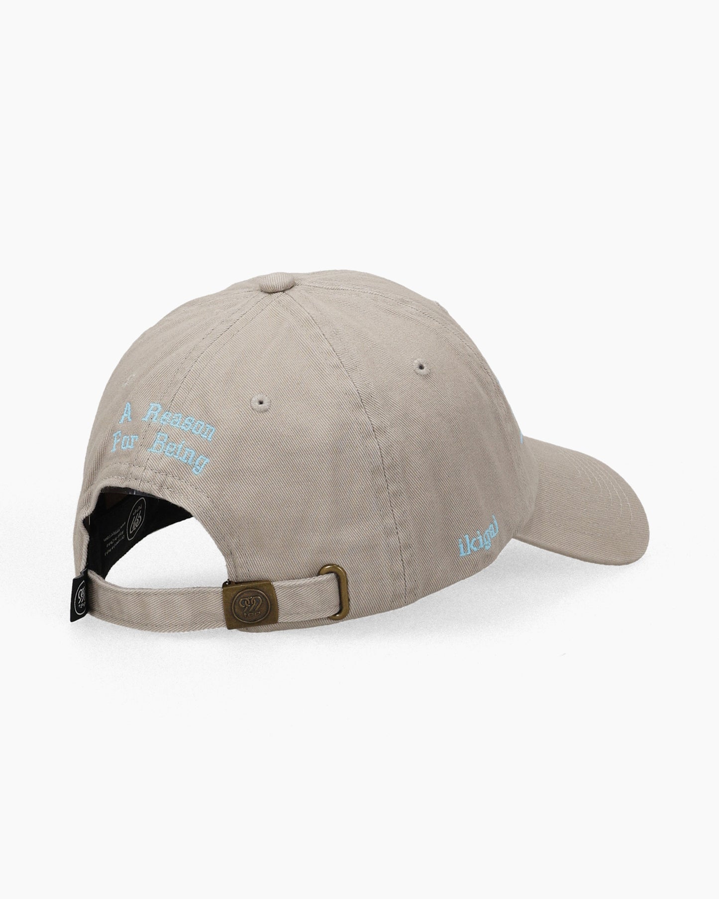 Ikigai Kanji Dad Cap