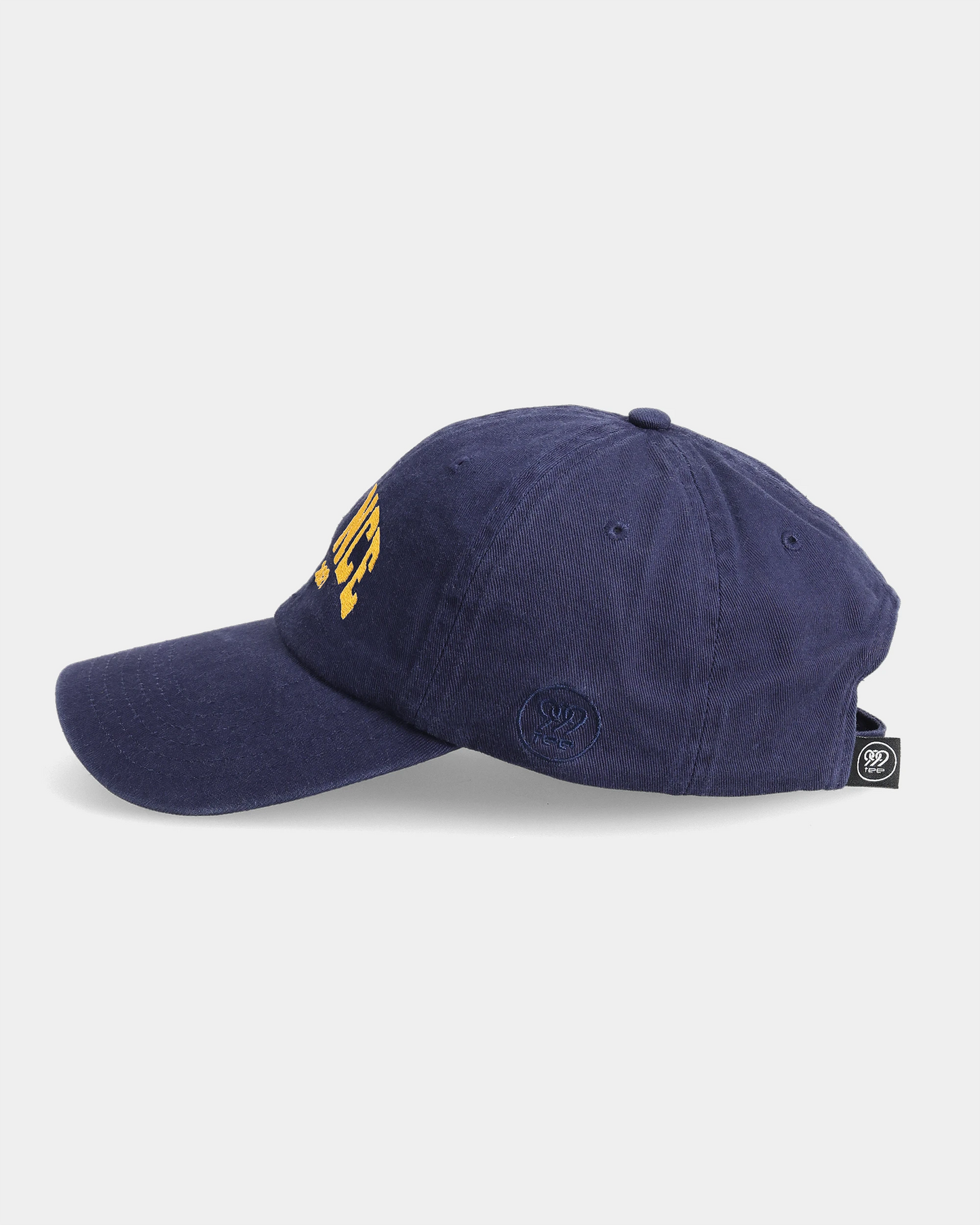 France Dad Cap