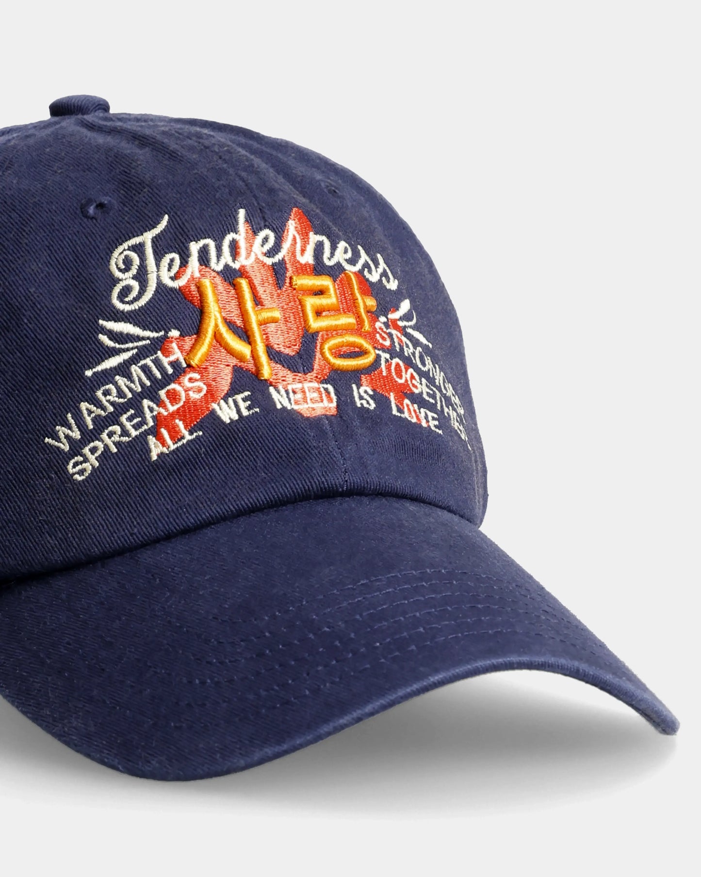 Tenderness Dad Cap