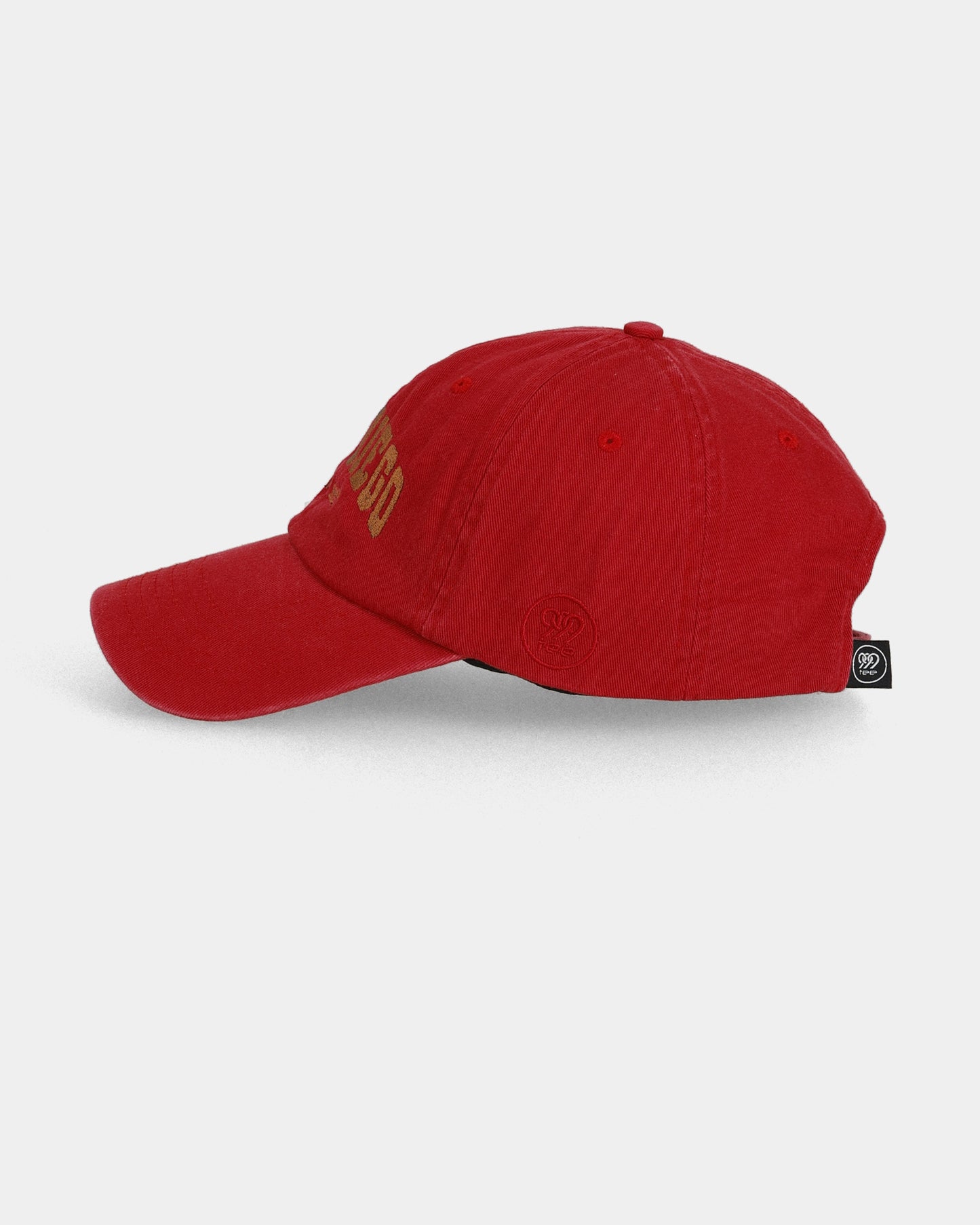 SAN DIEGO DAD CAP