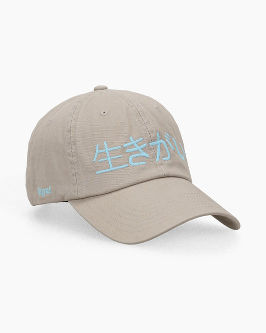 Ikigai Kanji Dad Cap