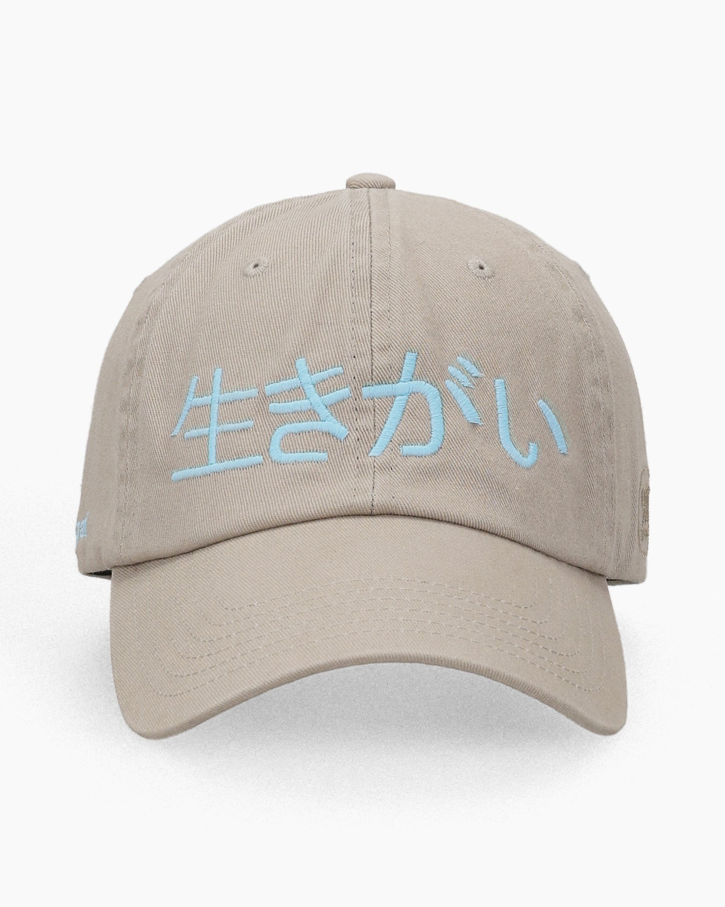 Ikigai Kanji Dad Cap