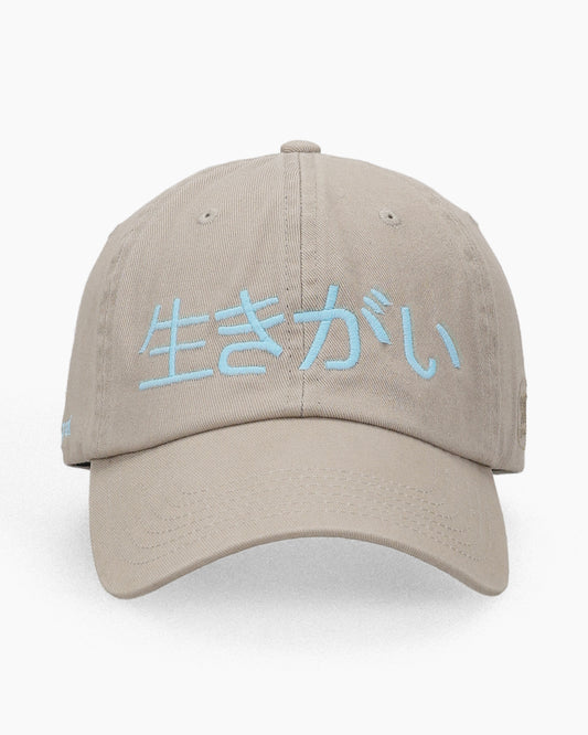 Ikigai Kanji Dad Cap