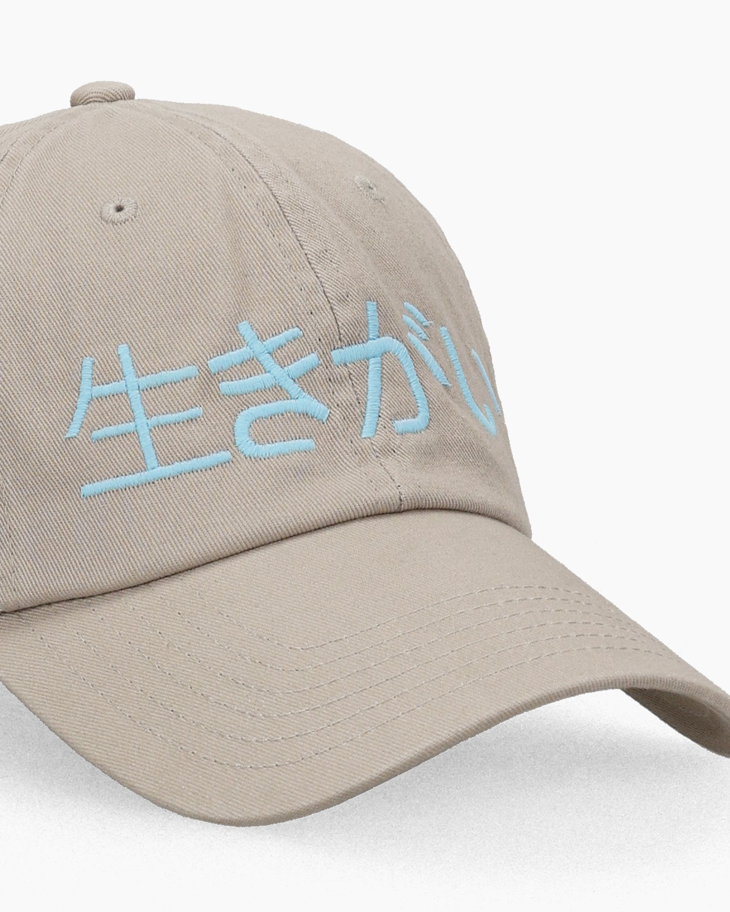 Ikigai Kanji Dad Cap