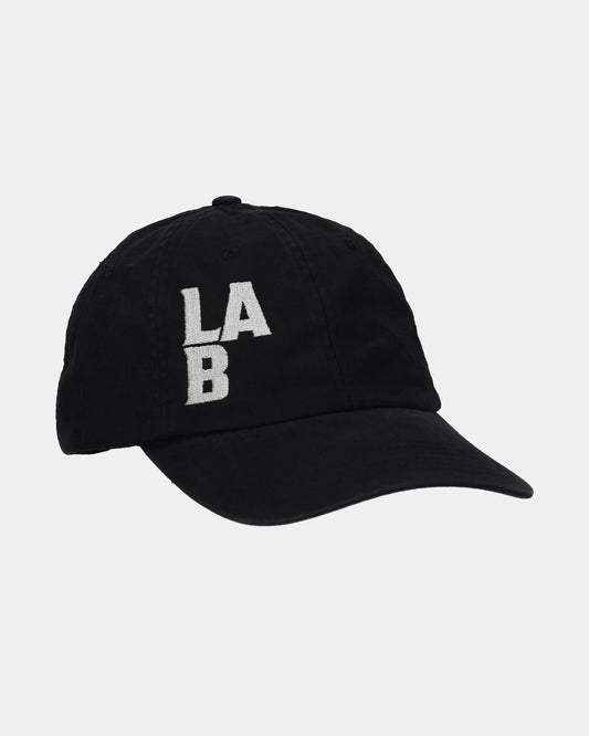 LAB#03 Dad Cap