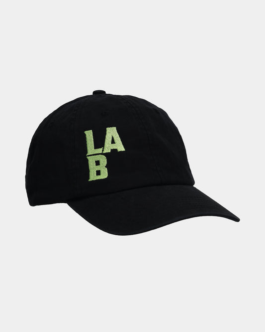 LAB#01 Dad Cap