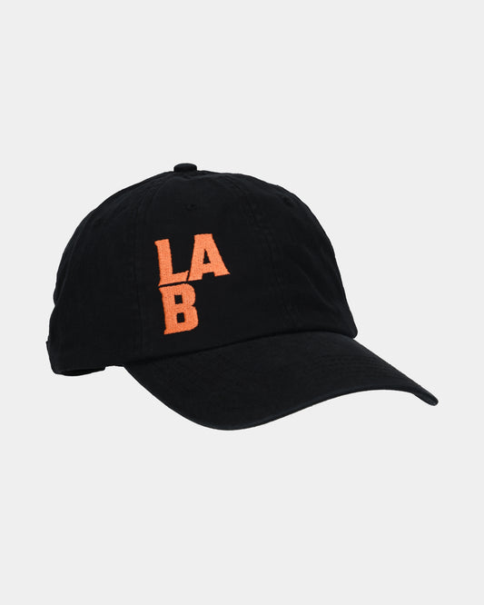 LAB#02 Dad Cap