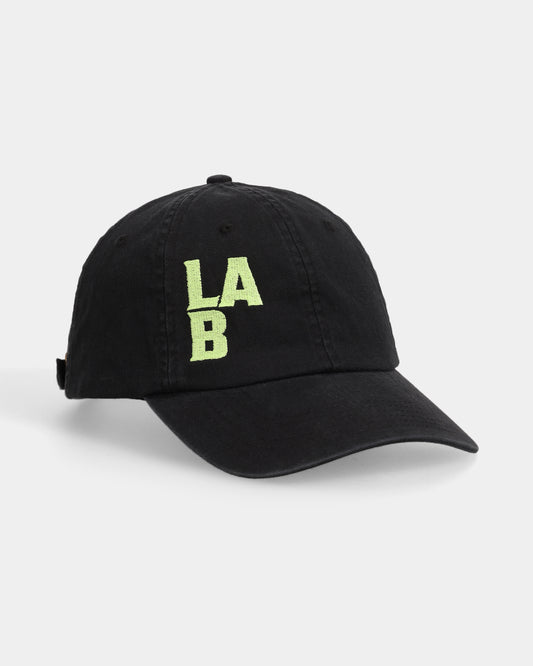 LAB#01 Dad Cap