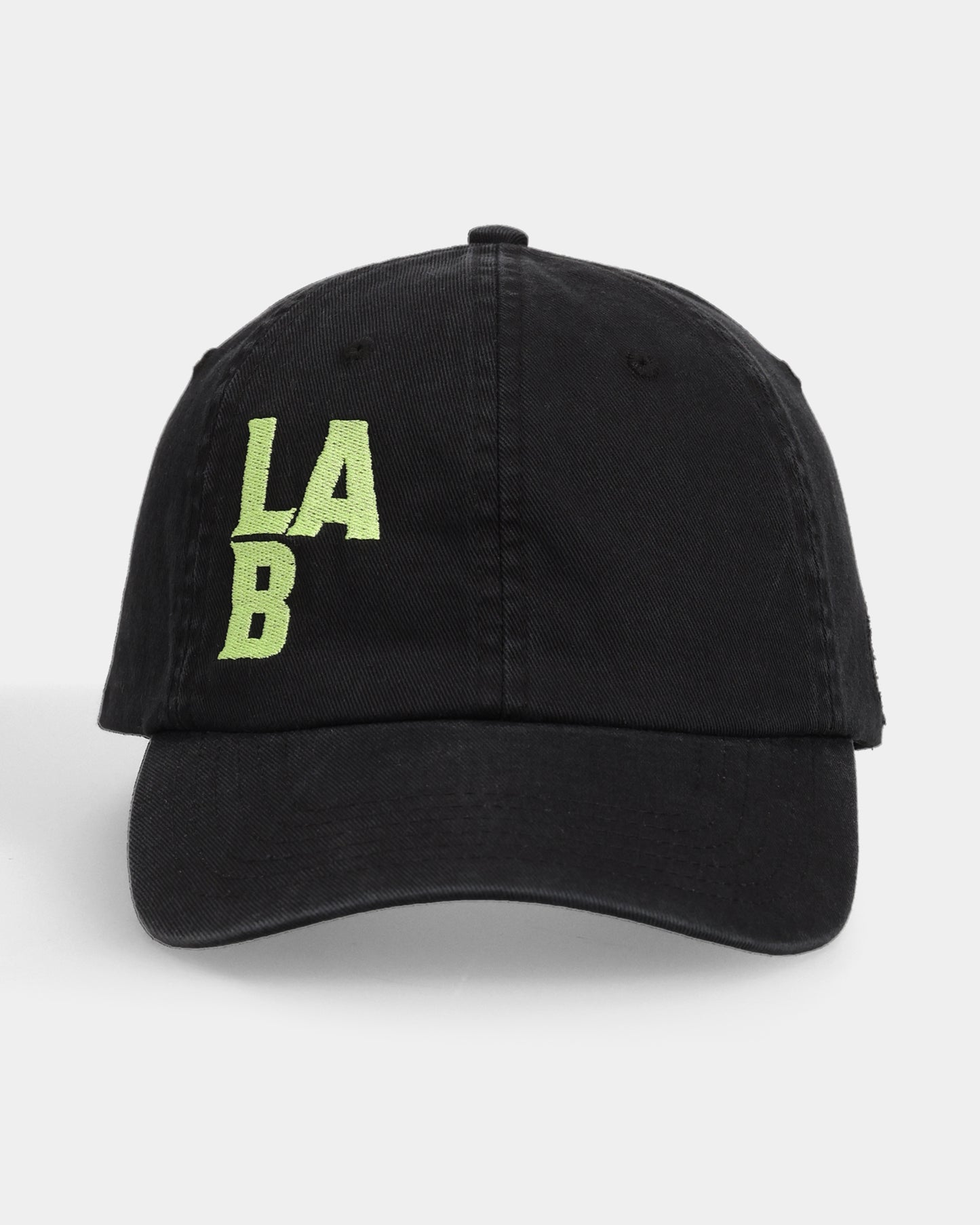 LAB#01 Dad Cap