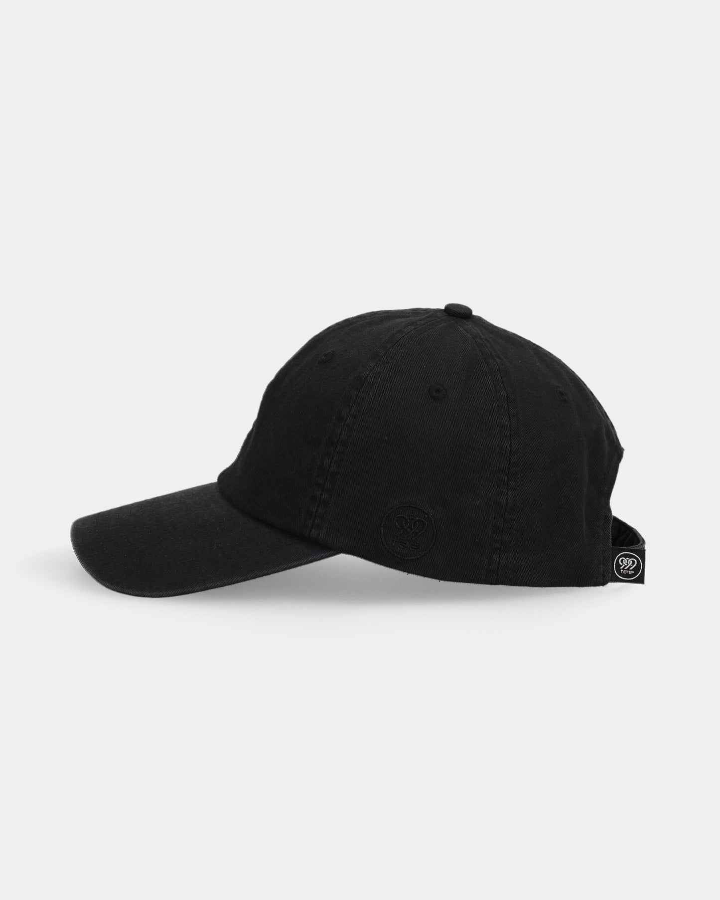 LAB#01 Dad Cap