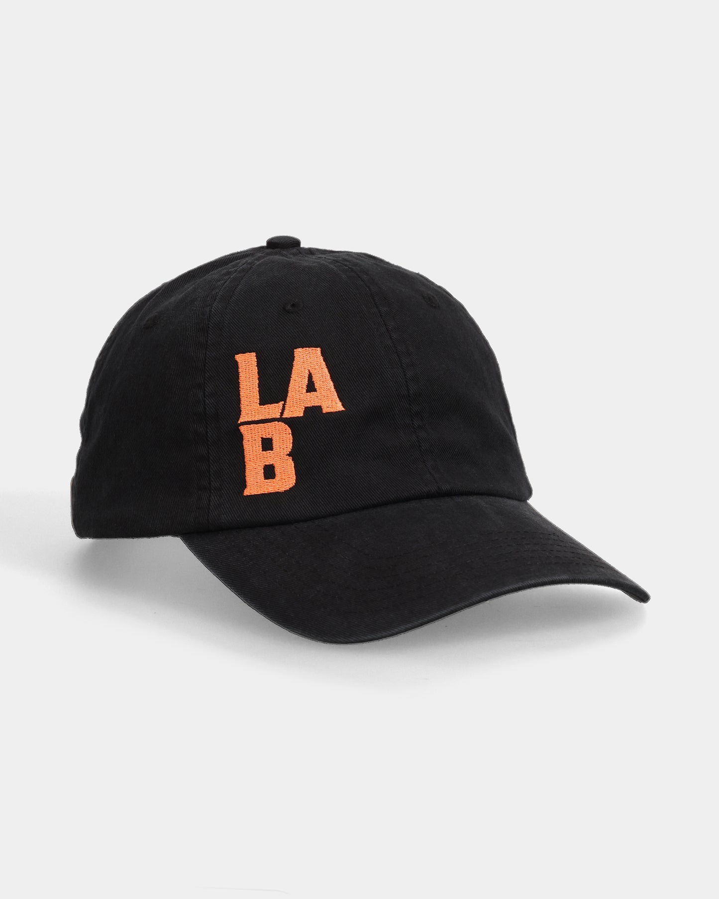 LAB#02 Dad Cap