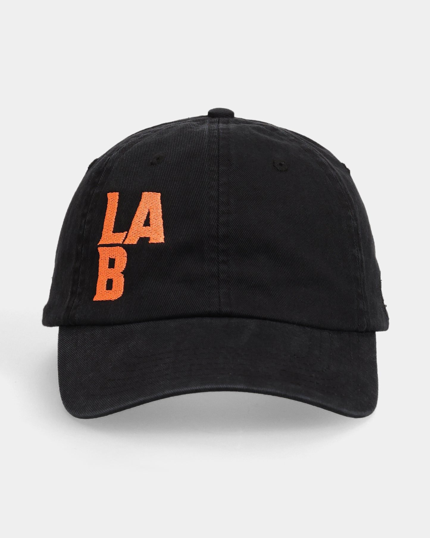 LAB#02 Dad Cap