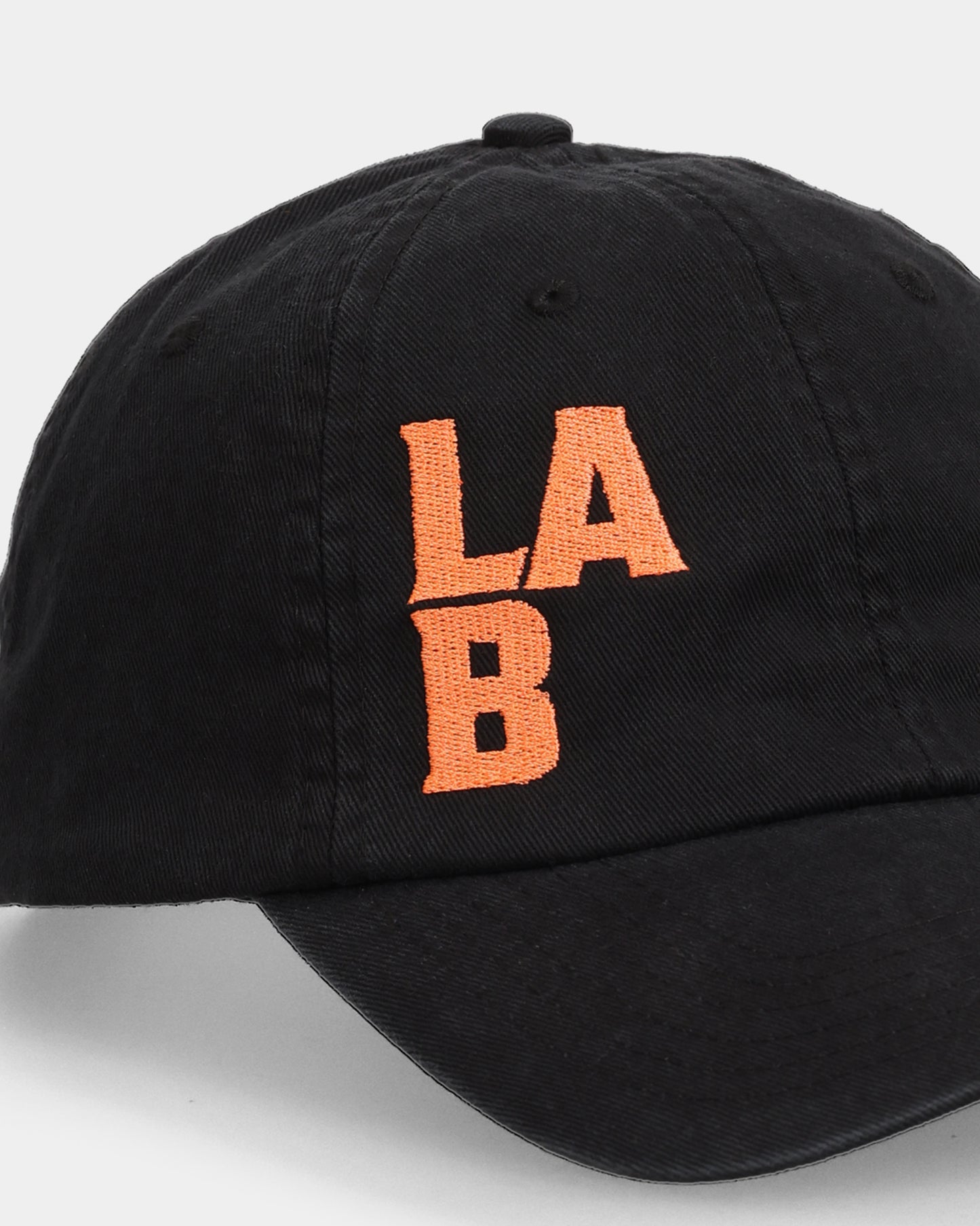 LAB#02 Dad Cap