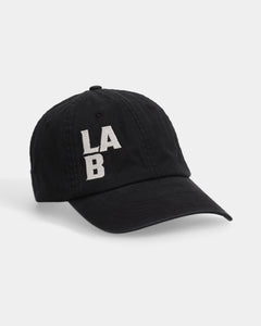 LAB#03 Dad Cap