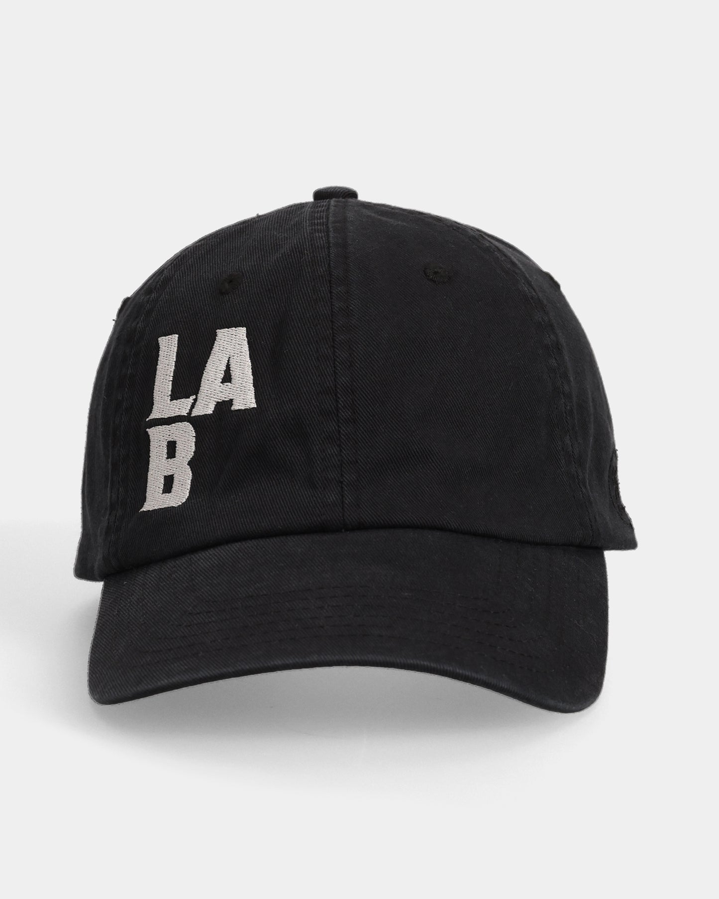 LAB#03 Dad Cap