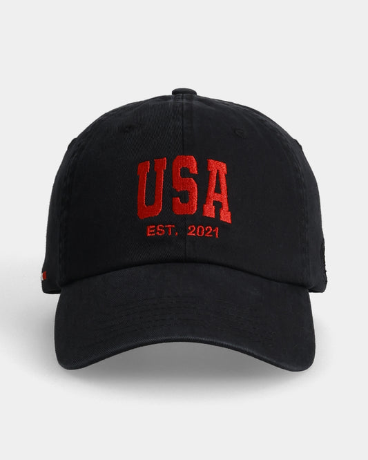 USA Dad Cap
