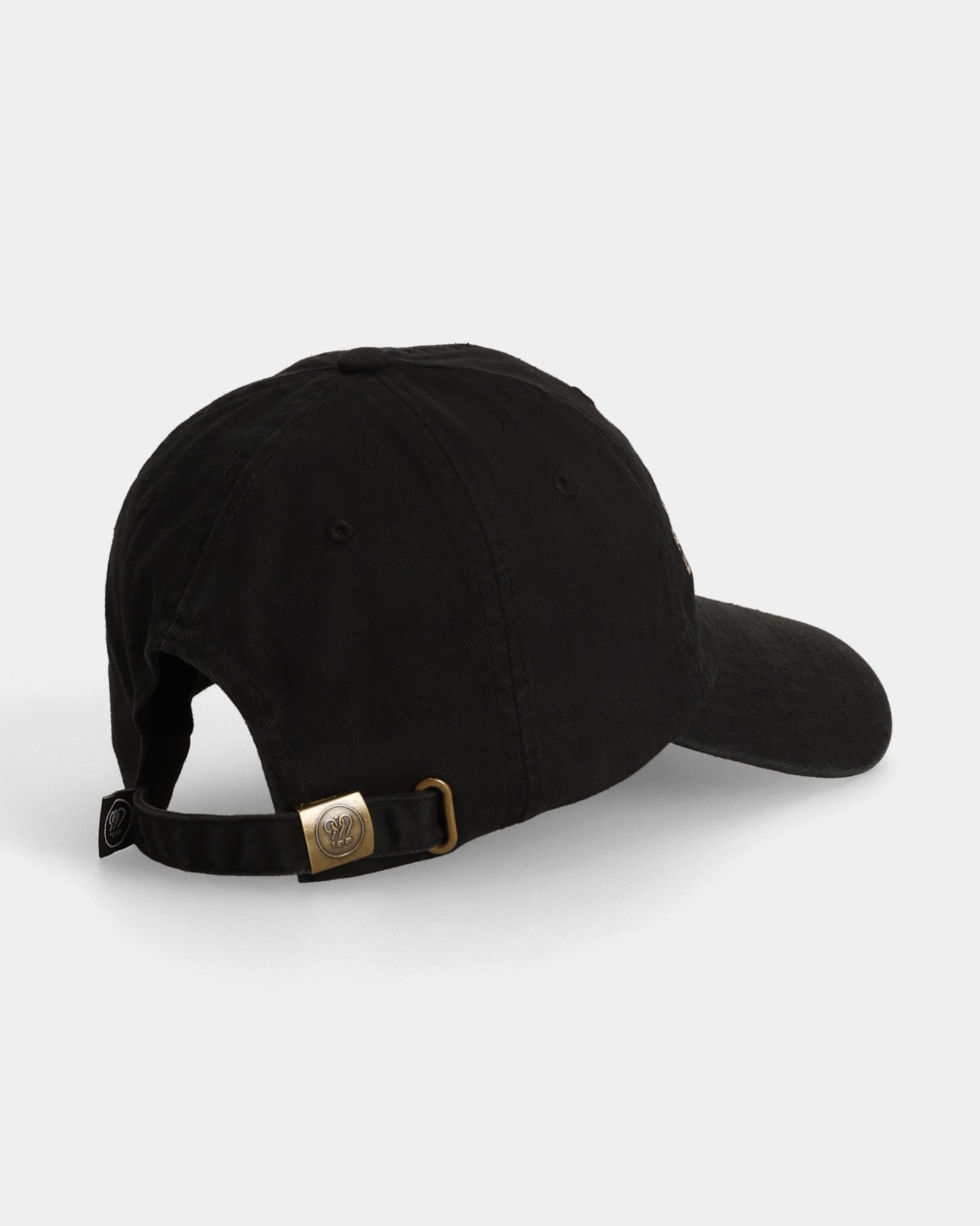 Heal the World Dad Cap