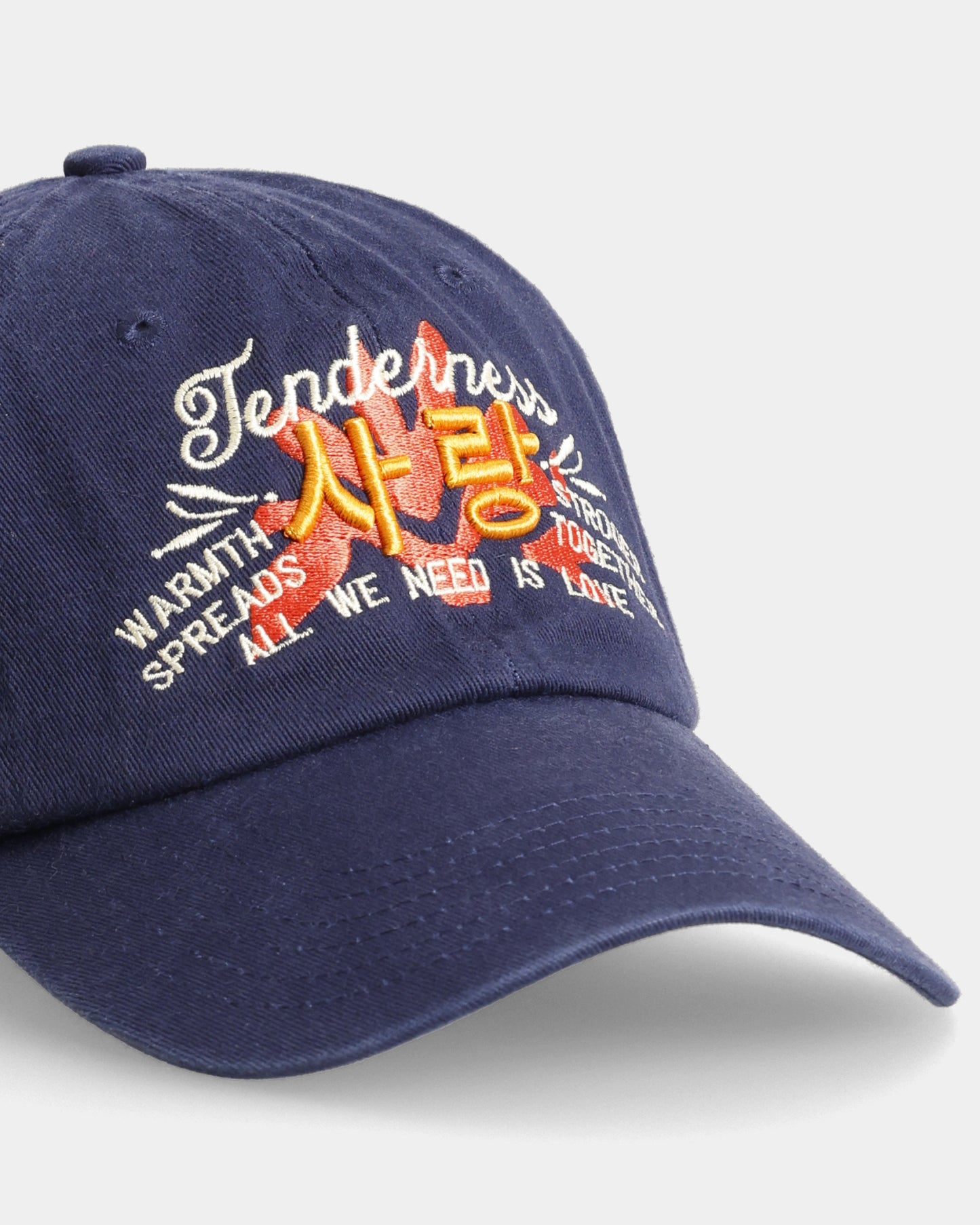 Tenderness Dad Cap
