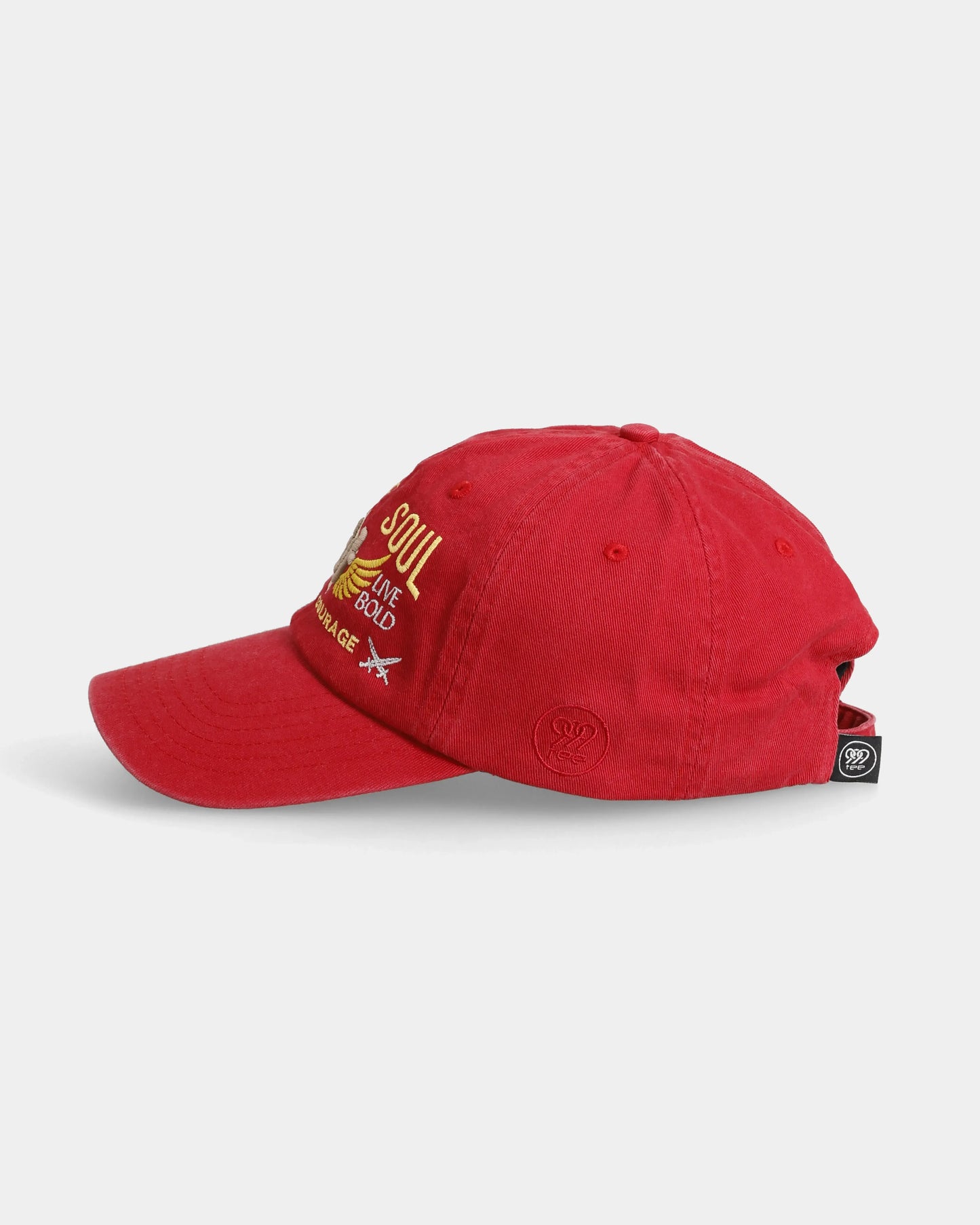Brave Soul Dad Cap