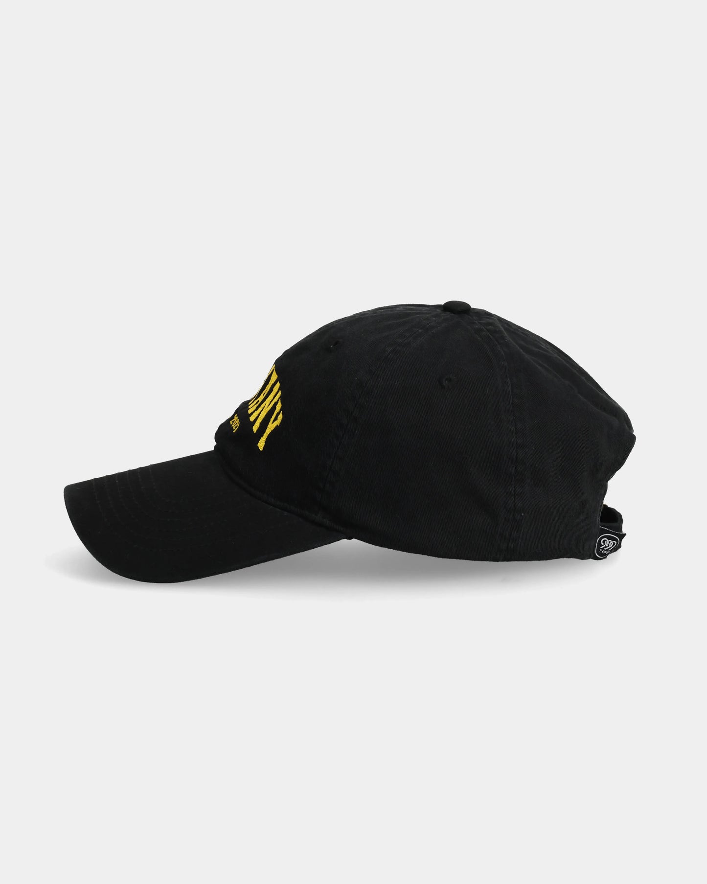 Germany Dad Cap