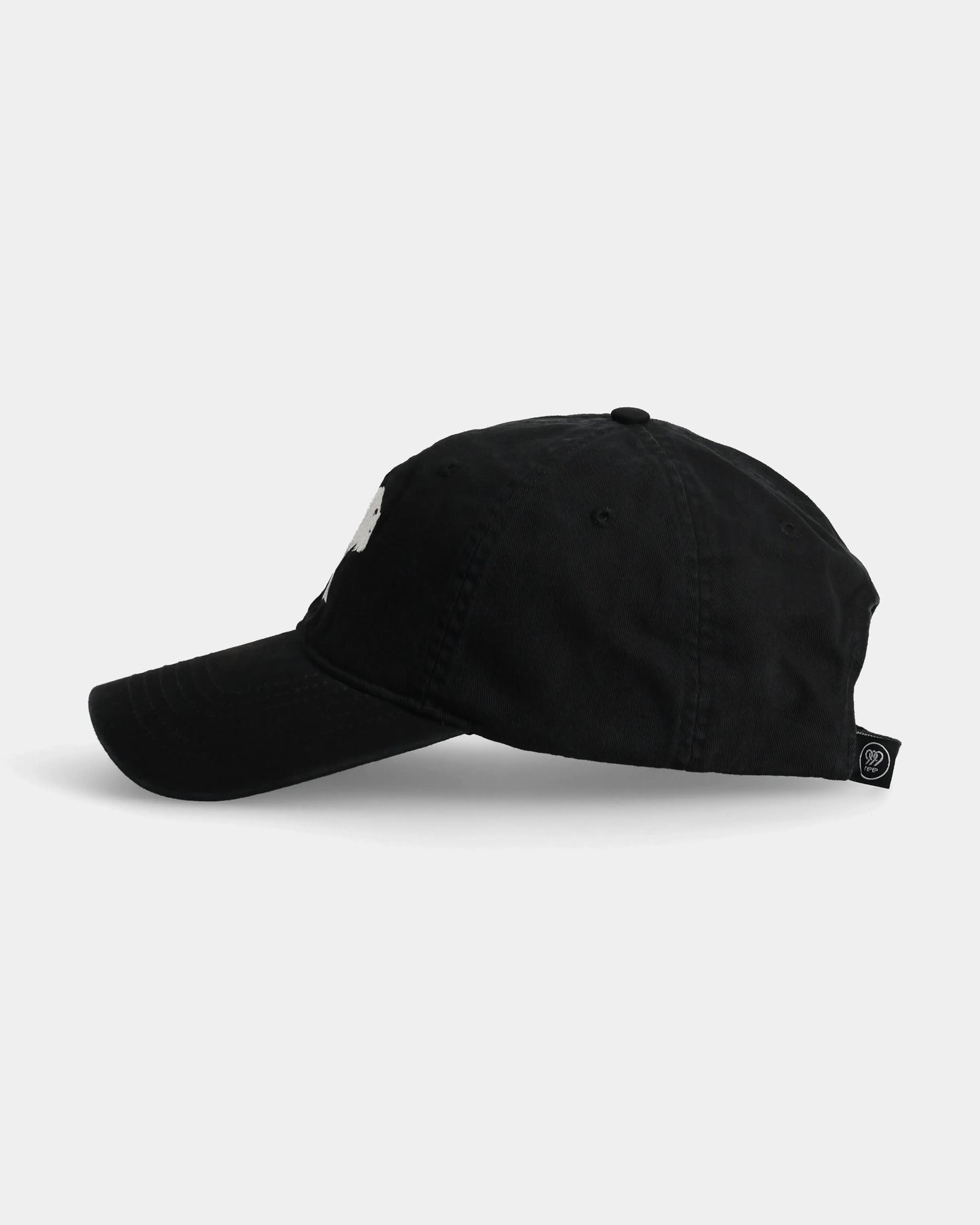 POLAR BEAR DAD CAP