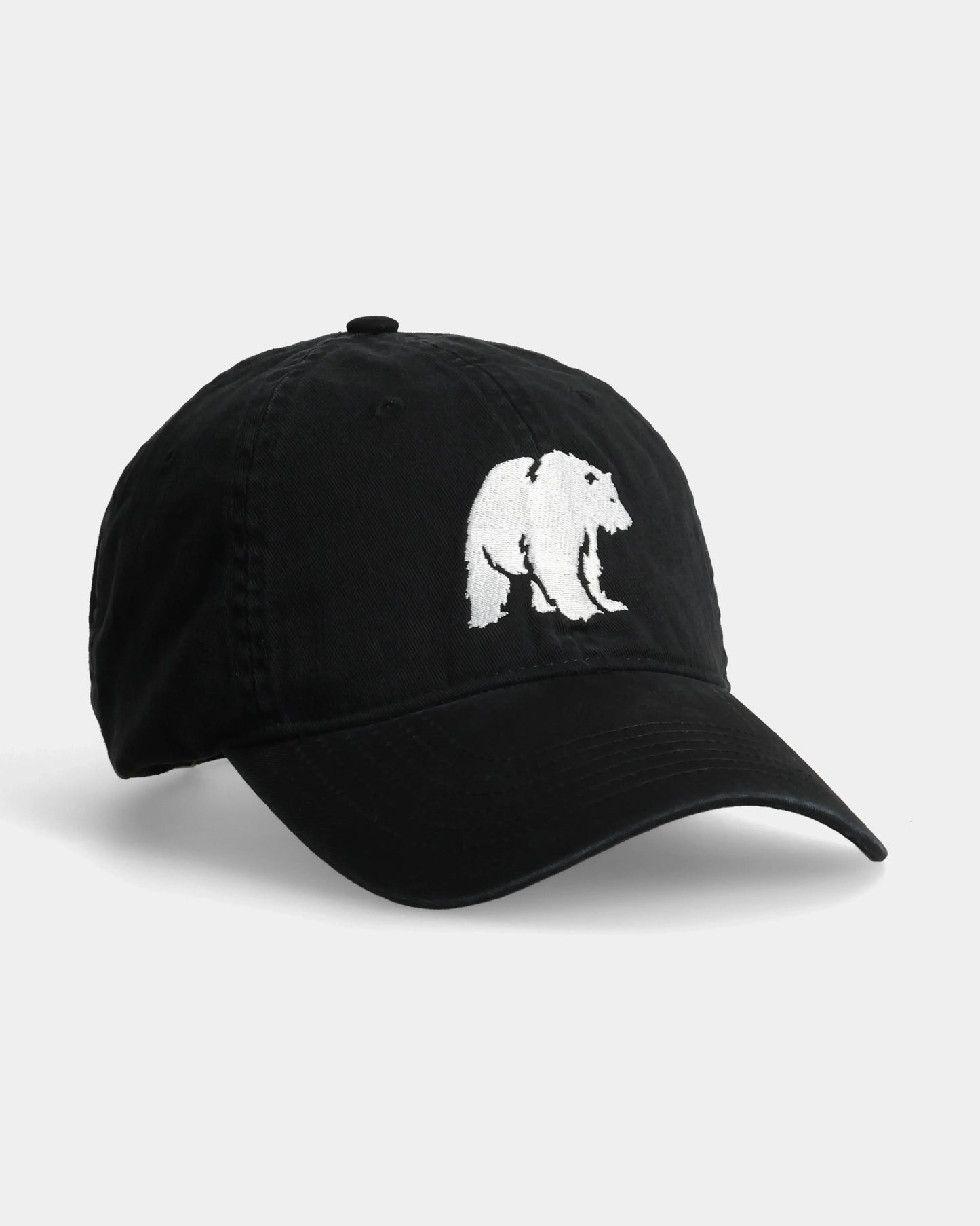 POLAR BEAR DAD CAP