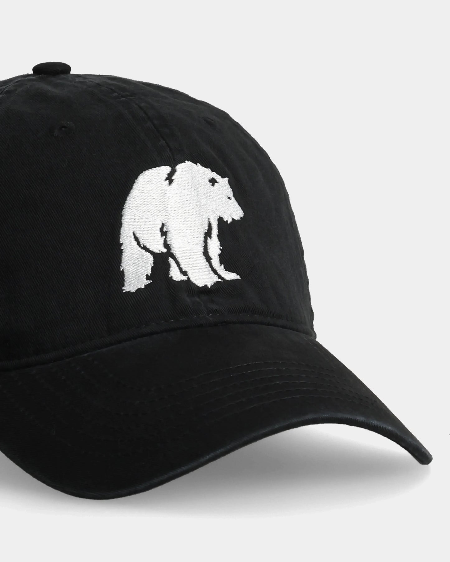 POLAR BEAR DAD CAP