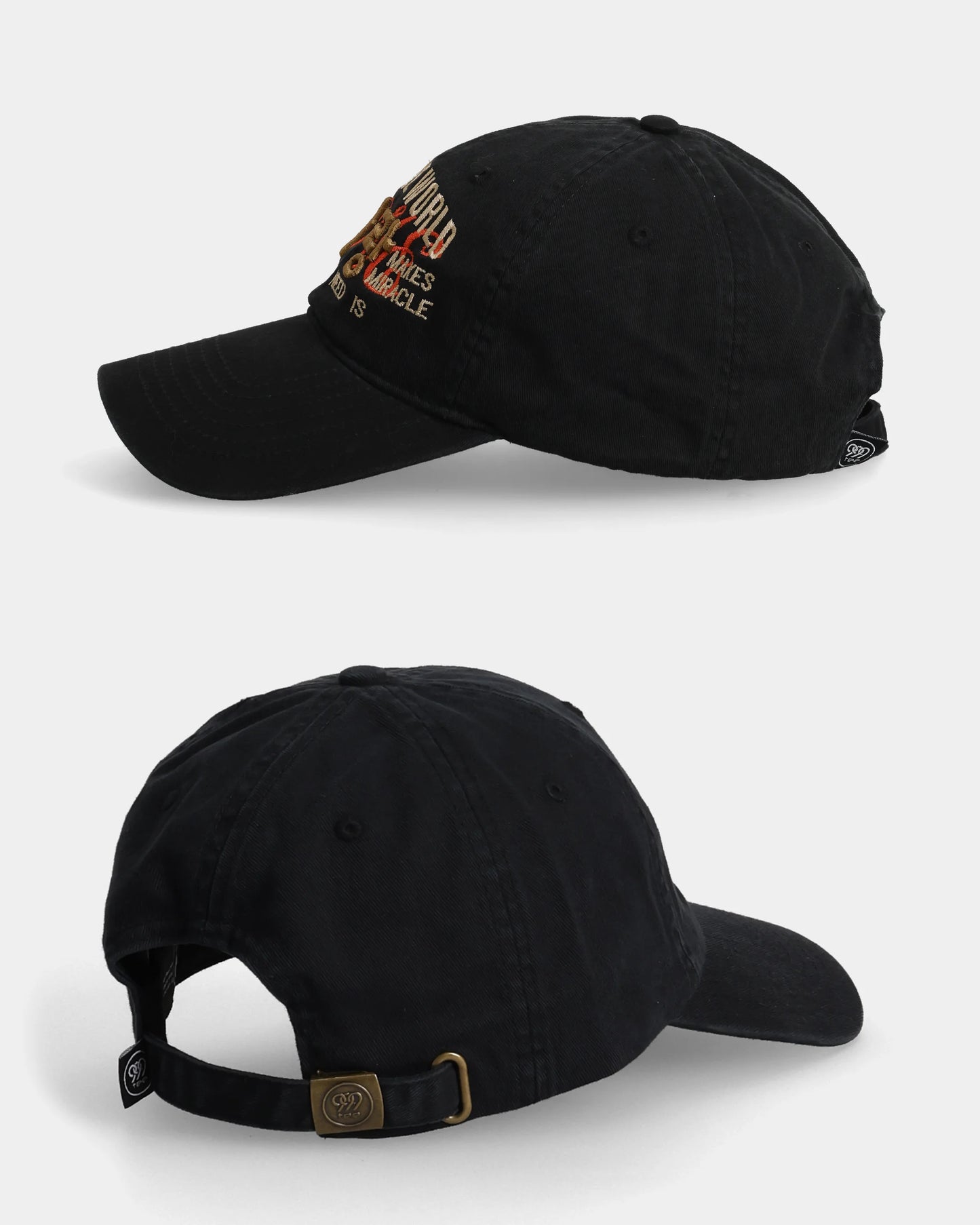 Heal the World Dad Cap