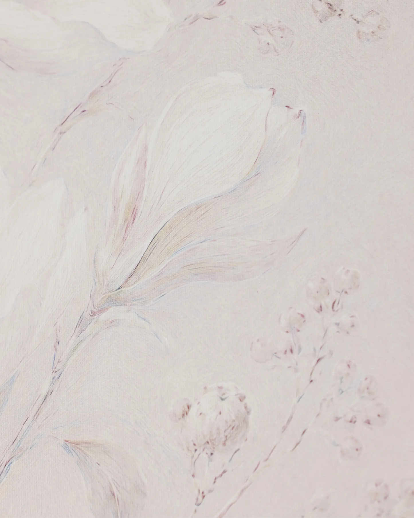 Whisper White Bloom Canvas Wall Art