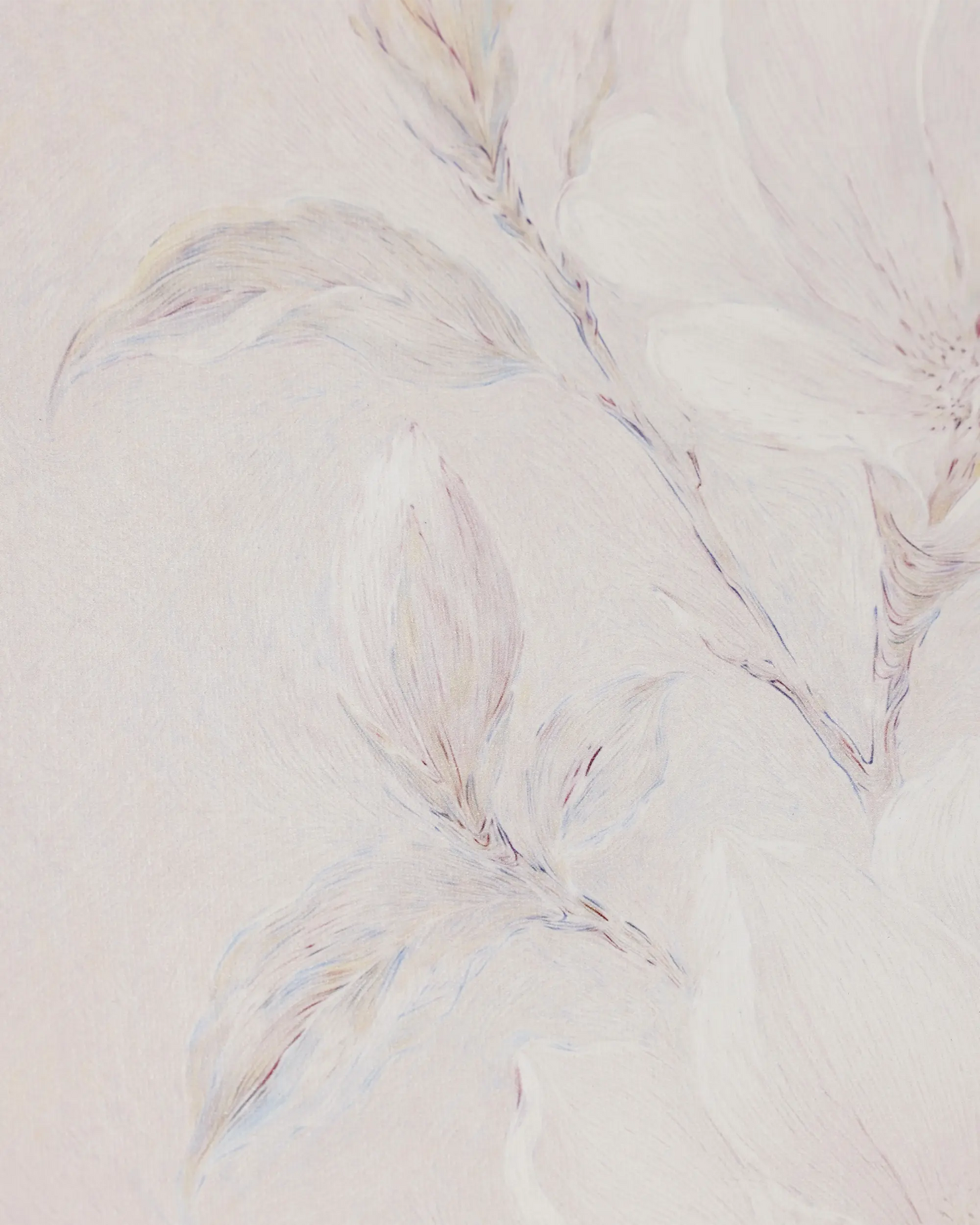 Whisper White Bloom Canvas Wall Art