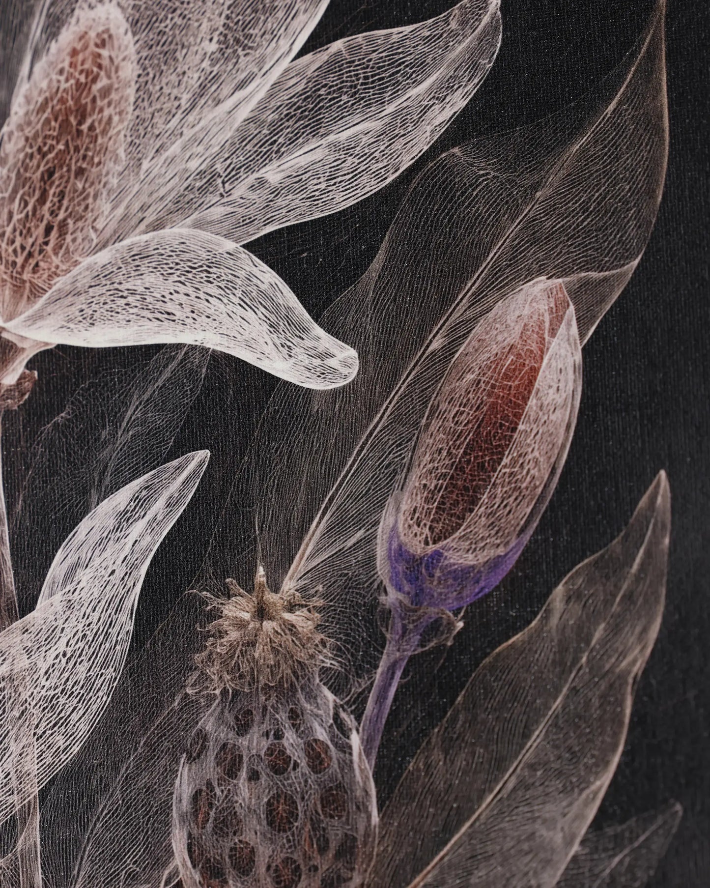Noir Botanical Bloom Canvas Wall Art