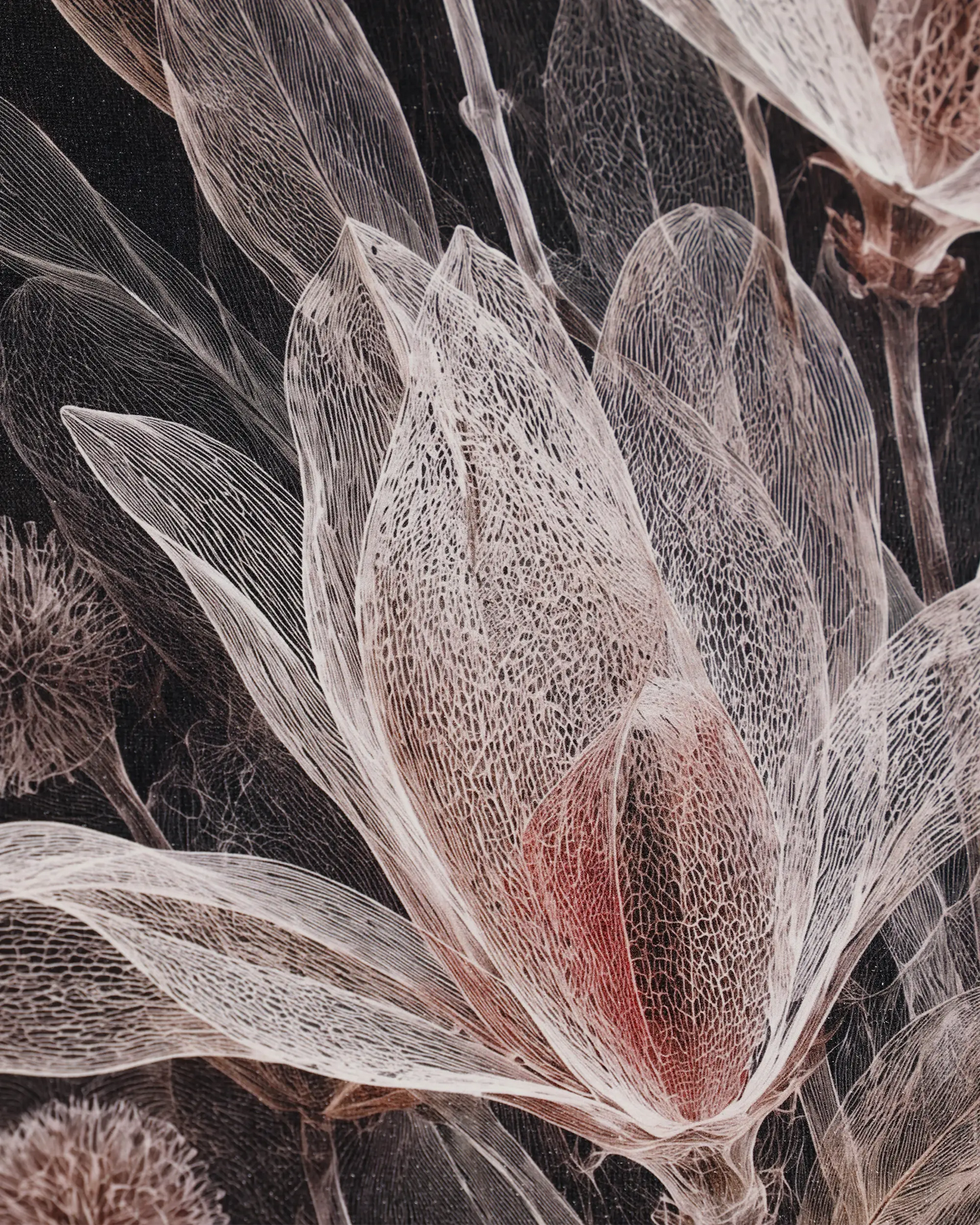 Noir Botanical Bloom Canvas Wall Art