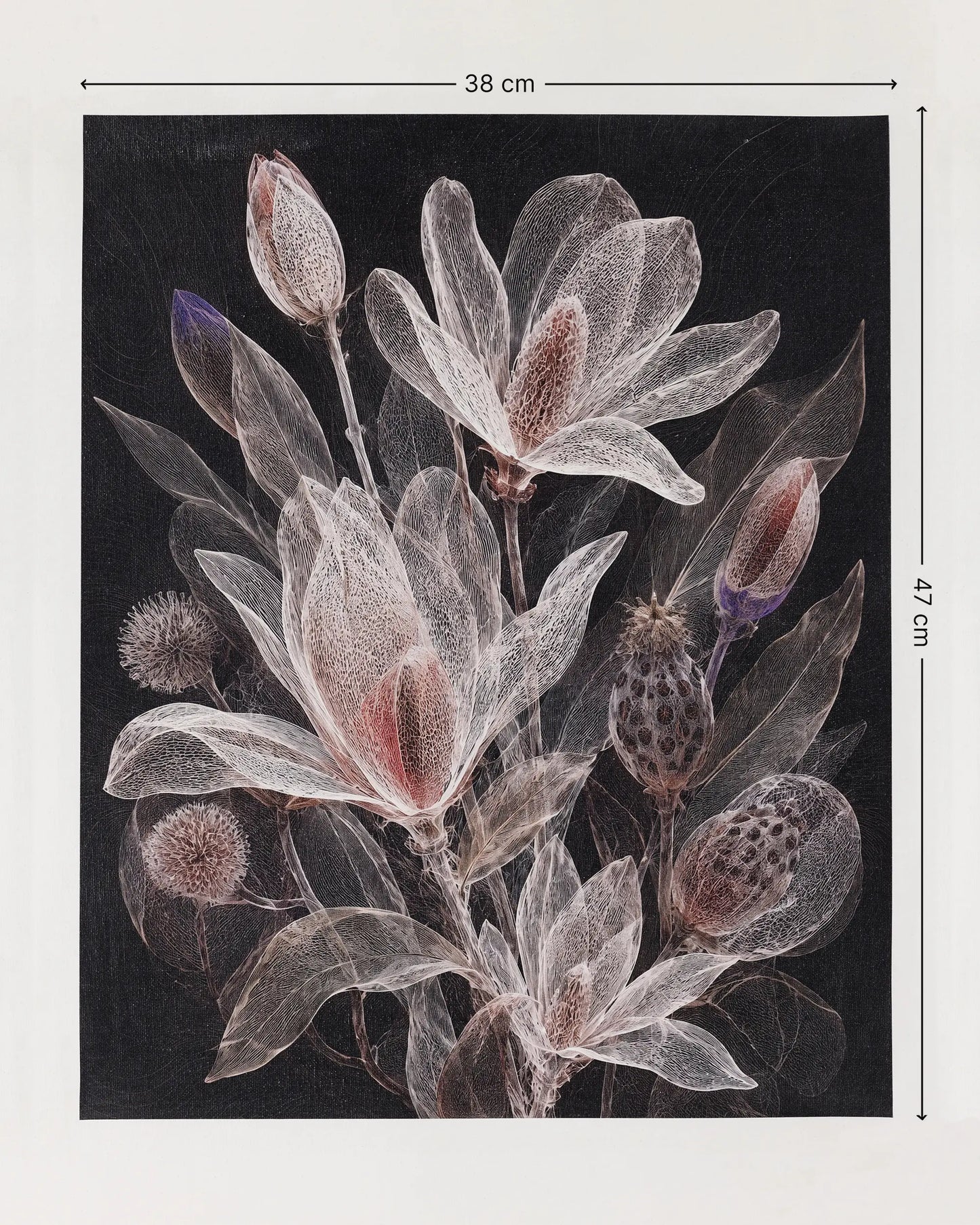 Noir Botanical Bloom Canvas Wall Art